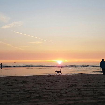 2 Bedroom Pet Friendly Home In Egmond Aan Zee Extérieur photo
